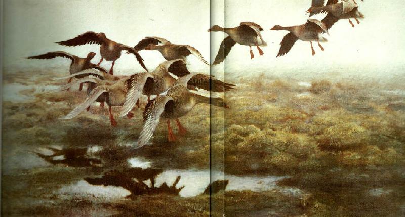 bruno liljefors fallande vildgass China oil painting art